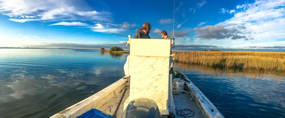 Graduate Fisheries Course Students in Cedar Key, Florida.