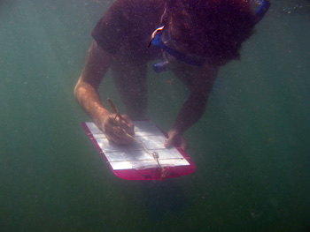 A student taking data for Living Lab.