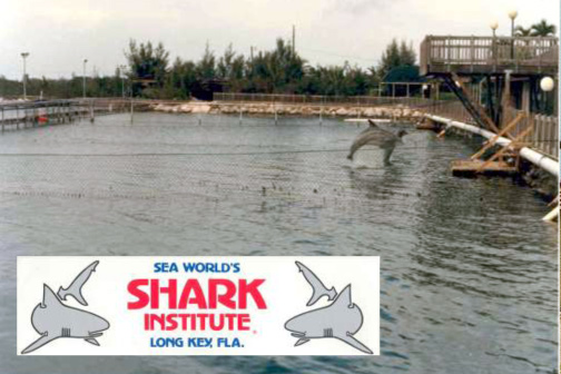 KML History - SeaWorld of Florida